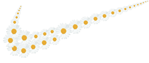 9 Daisy Nature-Inspired Nike Swoosh Design Daisy Nature-Inspired Nike Swoosh Design