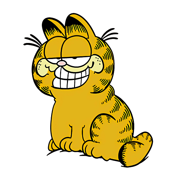 Garfield Funny Face Graphic Garfield Funny Face Graphic