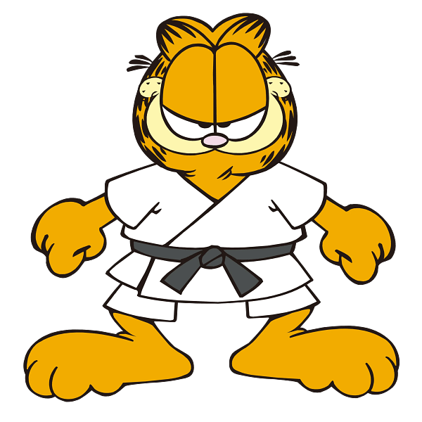 Garfield Karate Cat Graphic Garfield Karate Cat Graphic